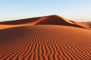 Discover the South of Vietnam Tour